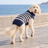Flynn Stripe Alpaca Dog Sweater