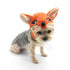 Fox Dog Hat