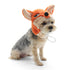 Fox Dog Hat