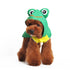 Frog Dog Raincoat