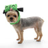 Funky Bot Dog Hat