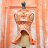 Furry Vuiton Champagne Peaches & Cream Bubbles Dog Dress