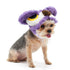 Fuzzy Owl Dog Hat