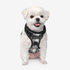 Garrett Dog Harness H