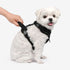Garrett Dog Harness H