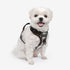 Garrett Dog Harness H