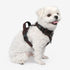 Garrett Dog Harness H