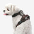 Garrett Dog Harness H