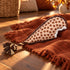 Gobble Gobble Tough Dog Toy