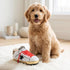 Golden Pooch Tennis Shoe Dog Toy