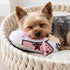 Golden Pooch Tennis Shoe Dog Toy Pink