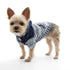 Gradient Hooded Dog Sweater