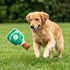 Green Stripe Pickleball Paddle Dog Toy