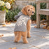 Grey Snowflake Alpaca Dog Sweater