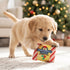 Grrradelli Puppermint Bark Square Dog Toy