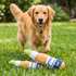 Grrrona Beer Dog Toy