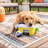 Grrrona Cooler Activity House Interactive Dog Toy