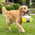 Grrrona Cooler Activity House Interactive Dog Toy