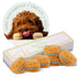 Handmade Macarons Boxed Dog Treats
