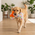 Happy Birthday Bone Dog Toy