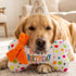 Happy Birthday Bone Dog Toy