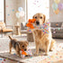 Happy Birthday Bone Dog Toy