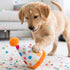 Happy Birthday Pawty Hat Dog Toy