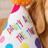 Happy Birthday Pawty Hat Dog Toy