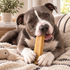 Himalayan Yak Extra Large Dog Chew