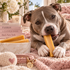 Himalayan Yak Medium Dog Chew