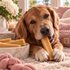 Himalayan Yak Mega Dog Chew