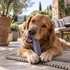 Himalayan Yak Blueberry Medium Dog Chew