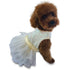 Hollywood Hologram Tutu Dog Dress Ivory