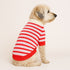 I Love You Polo Dog Sweater