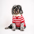 I Love You Polo Dog Sweater