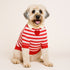 I Love You Polo Dog Sweater
