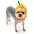 Jack-O-Lantern Dog Hat