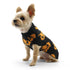 Jack O'Lantern Dog Sweater