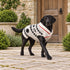 Jackson Dog Sweater