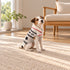Jackson Dog Sweater