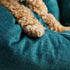 Jadebud Donut Dog Bed
