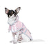 Jelly Dog Raincoat
