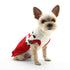 Jolly Dog Sweater