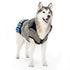 Knight Sweater Dog Costume