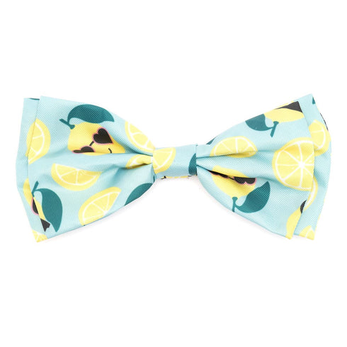 Lemons Dog Bow Tie