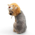 Lion Dog Hat