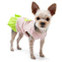 Little Birdy Dog Dress