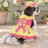 Little Chick Dog Harness Dress Set