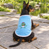 Little Frog Prince Dog Tank