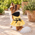Little Honey Bee Hoodie Dog Dress
